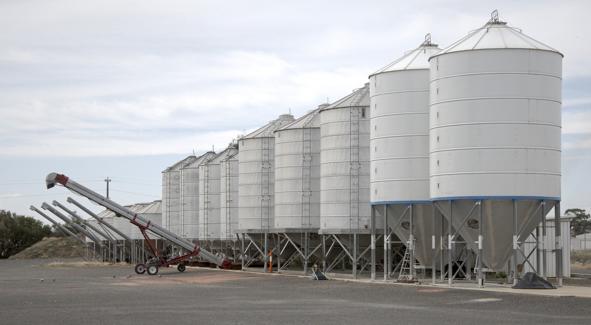 Terabee Blog Silo monitoring: Grain, animal feed and more