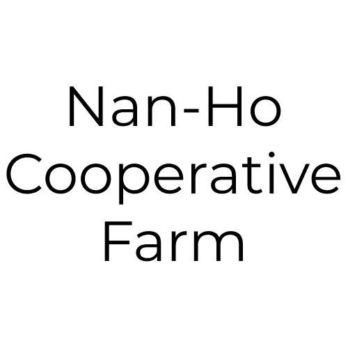 Nan Ho Logo