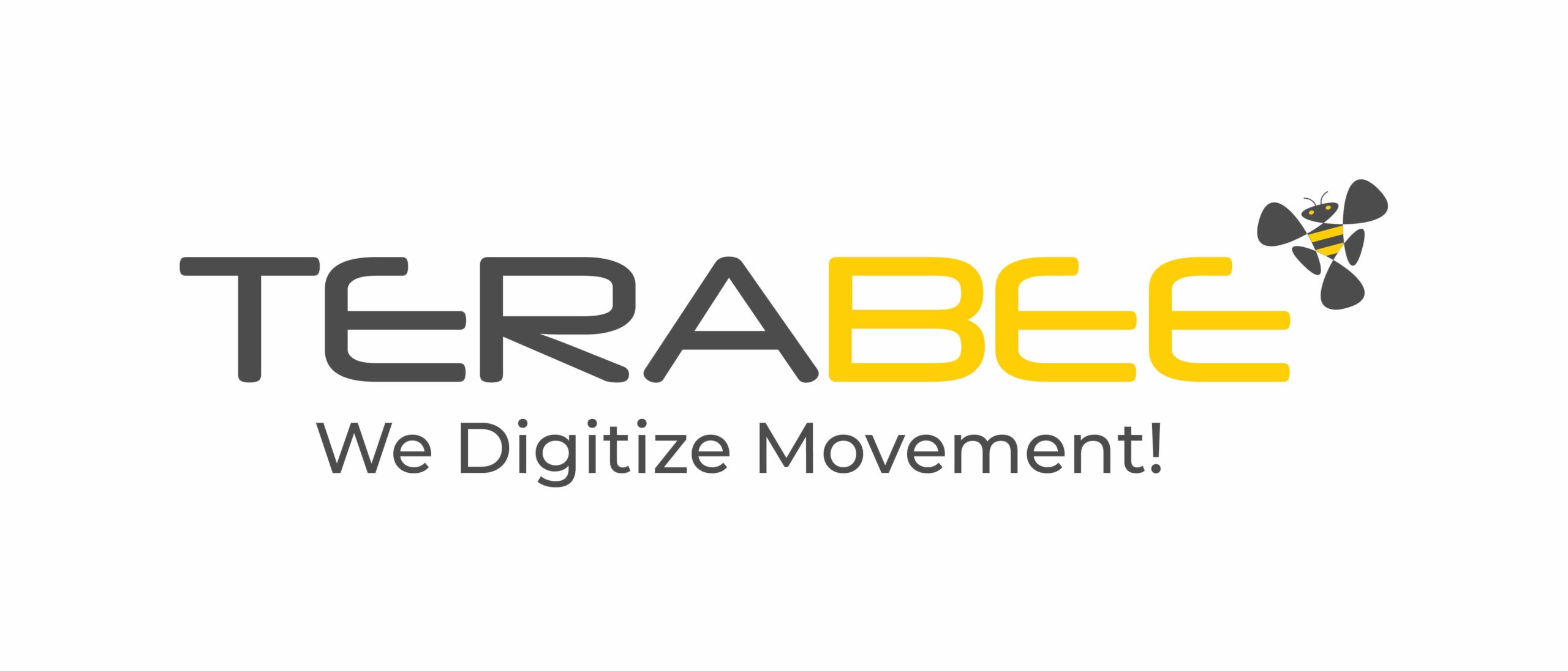 Terabee 10 Years Logo